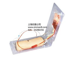 高級肘部靜脈穿刺訓練模型——醫療護理實訓的關鍵工具